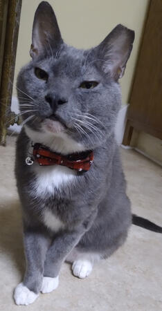 A Very Handsome Boy!